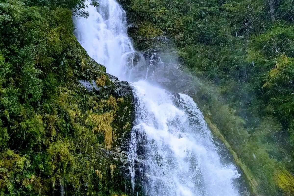  El Leon of Puerto Aysen waterfall