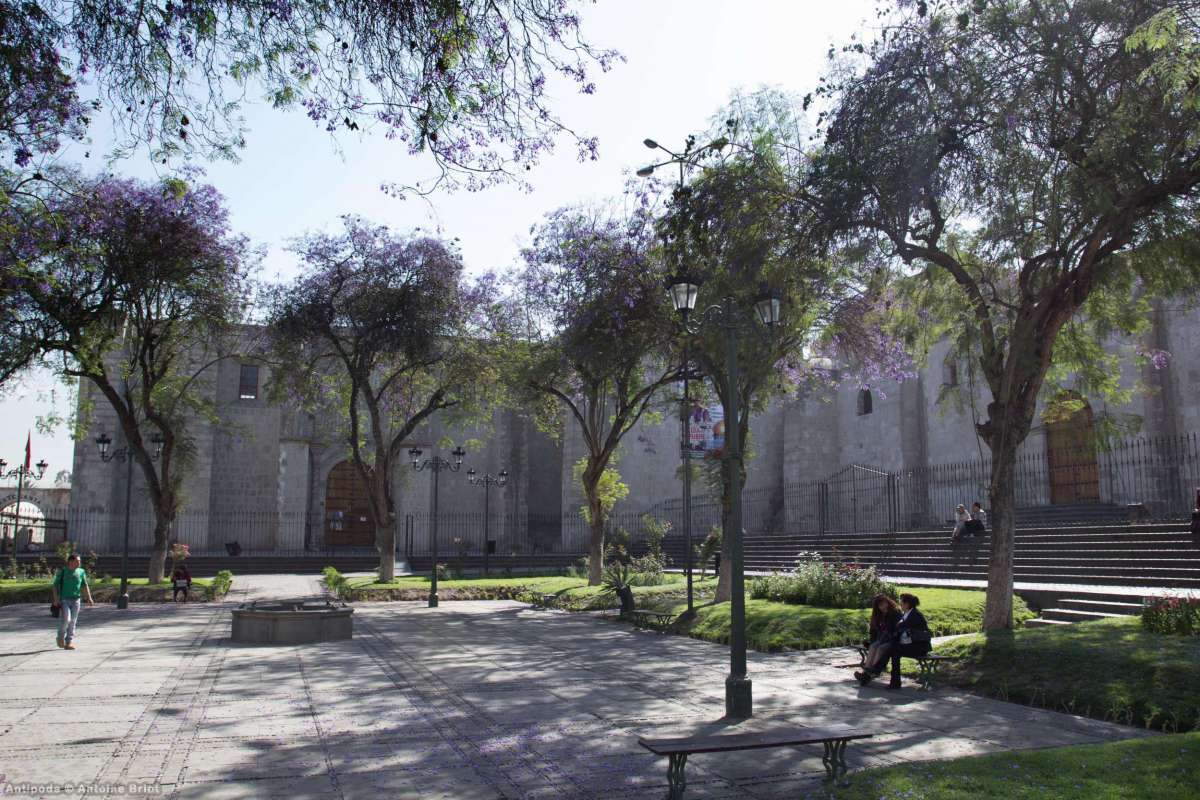 San Francisco Church