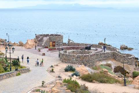 Fort Lambert Guayacan 