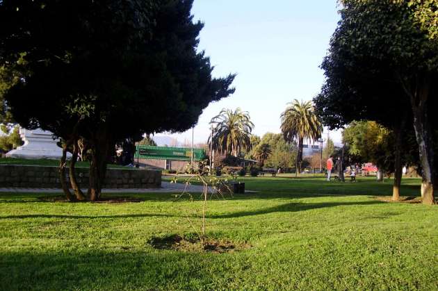Botanical Garden of Valdivia 