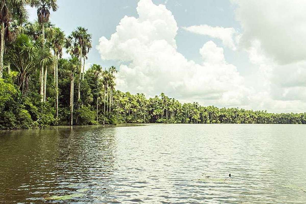 Sandoval lake