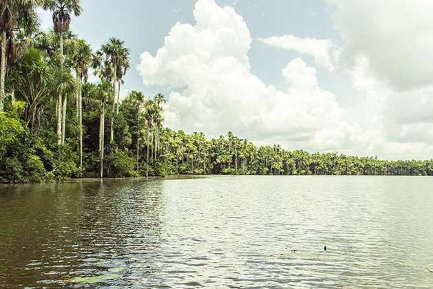 Sandoval lake