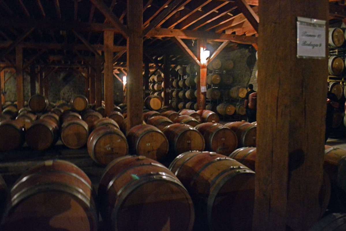 The vineyards around Santiago de Chile 