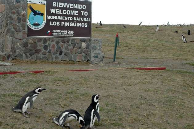 Monument naturel Los pinguiños 