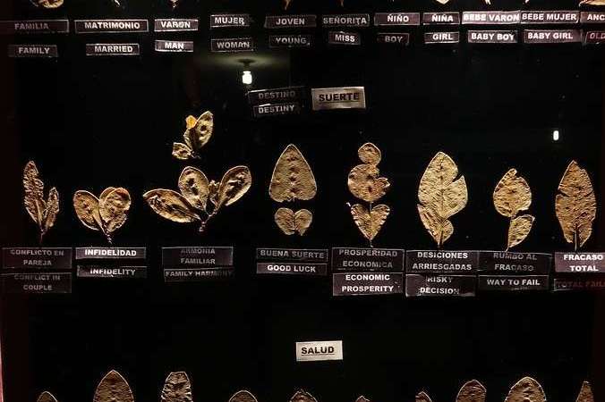 Coca museum