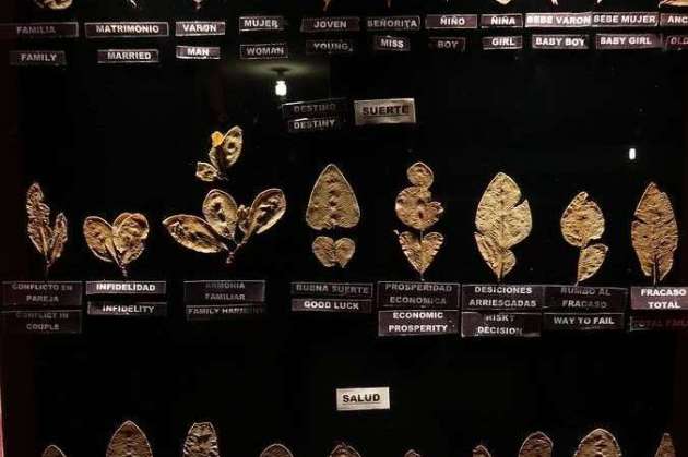 Coca museum