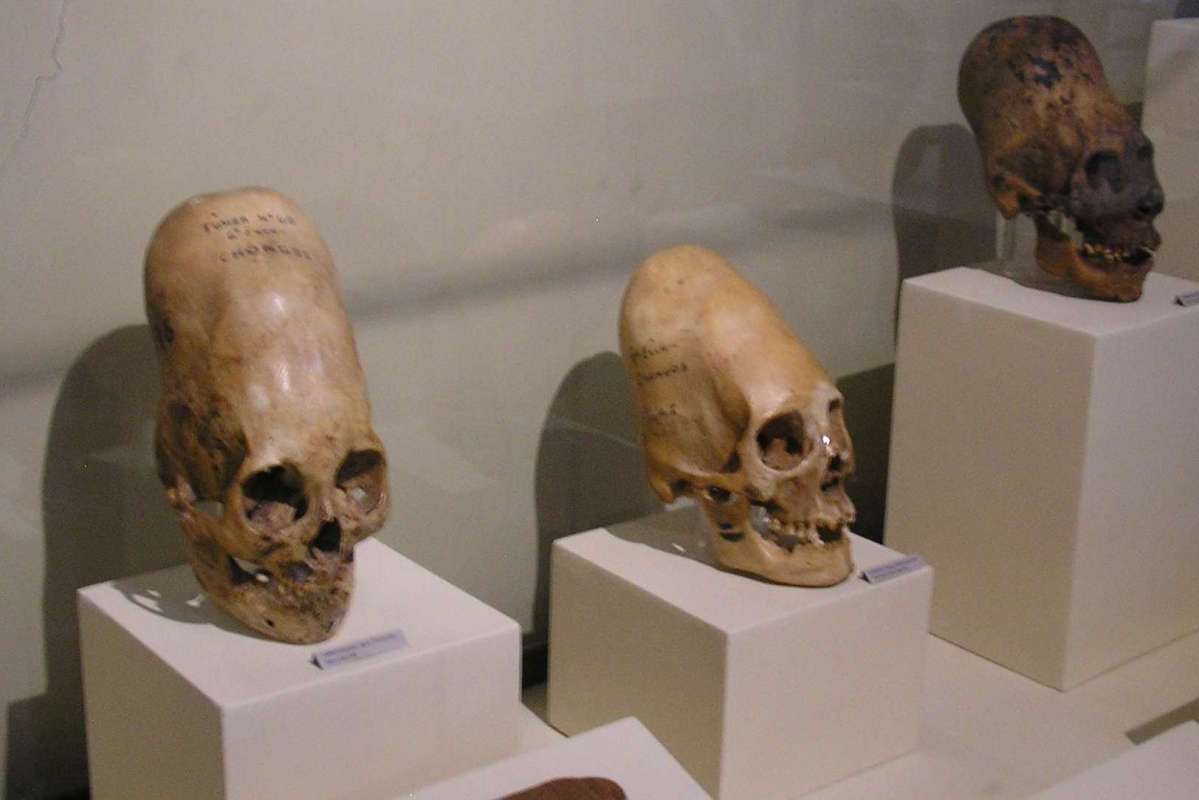 Regional Museum of Ica