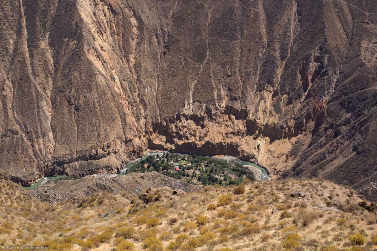 Sangalle Oasis