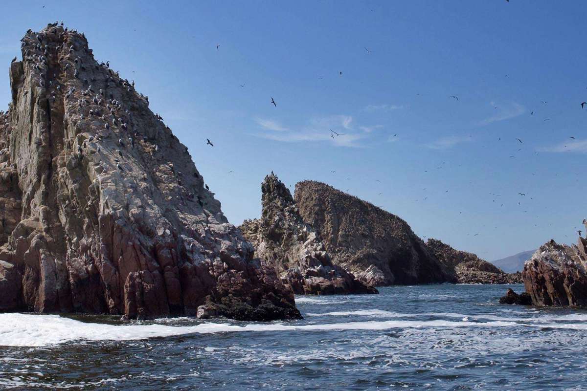Paracas National Reserve