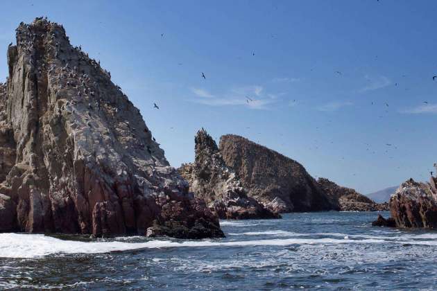 Paracas National Reserve