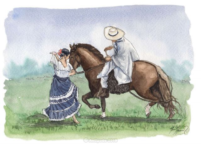 Peruvian Paso