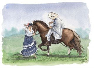 Peruvian Paso