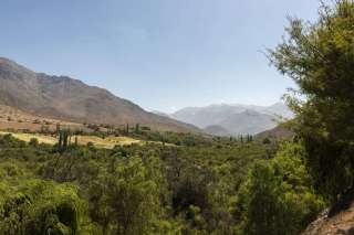 Alcohuaz