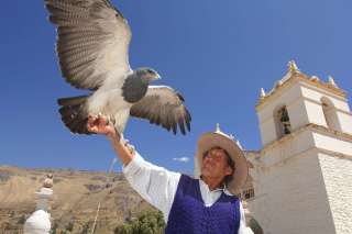 Colca canyon