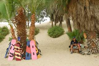 Huacachina Oasis