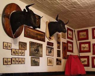 Taurino Museum