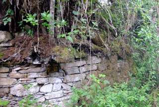 Ollape 