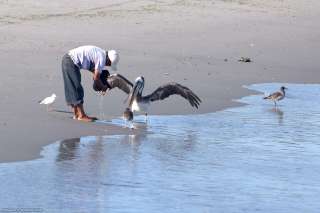Paracas