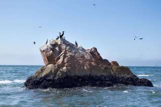 Paracas National Reserve