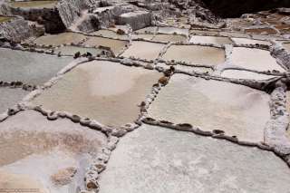Salines de Maras