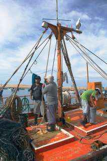 The fishing village of Lagunillas