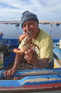 The fishing village of Lagunillas