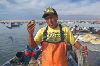 The fishing village of Lagunillas
