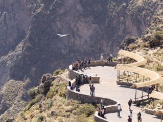 Colca canyon and departure to Puno