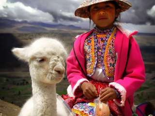 Colca canyon and departure to Puno
