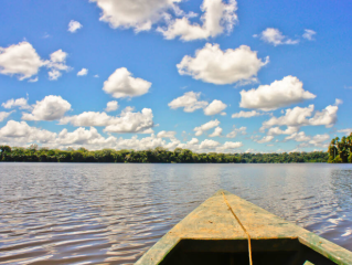 Cusco / Amazon Rain forest