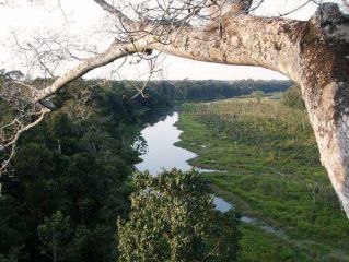 Cusco / Amazon Rain forest