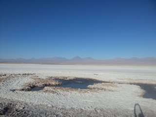 Tatio geysers and thermal waters / Cejas and Tebenquinche lagoons