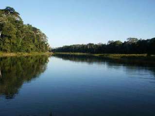 Amazon Rain forest.