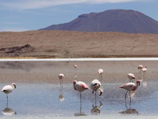 North and South Lipez
