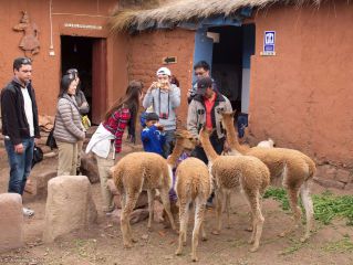 Crossing the Altiplano