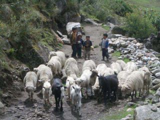 Trek of Lares