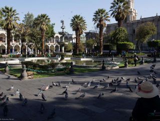Visit Arequipa, the white city 