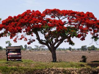 Visit Chiclayo