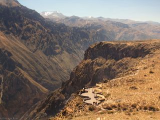 Visit the Colca canyon by car and overnight in Puno