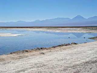 Visit to the Salar de Atacama and the altiplanic lagoons