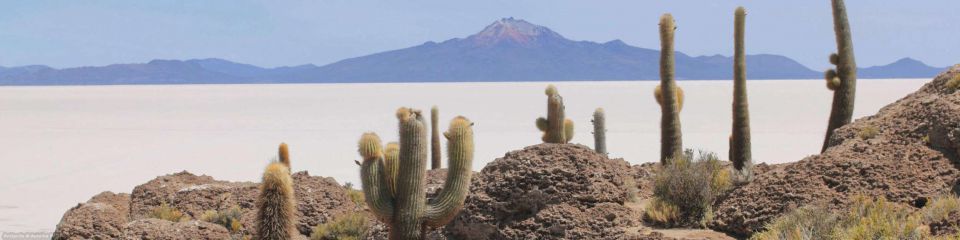 The Andes magic