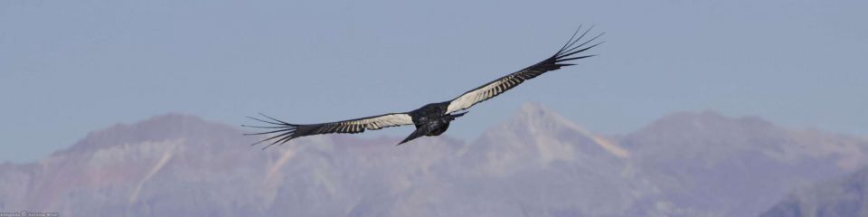 Colca Canyon