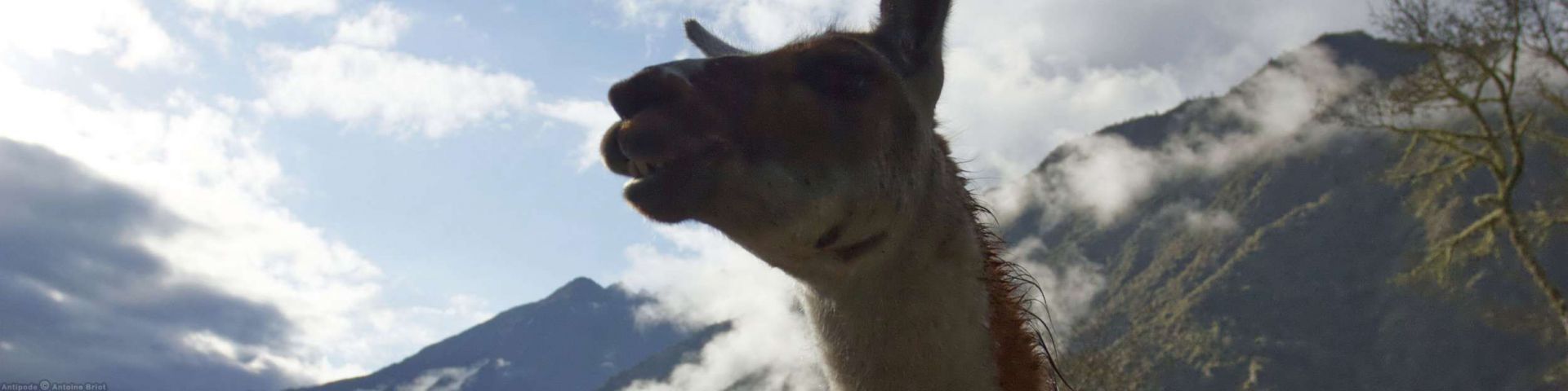 Inca Trail | MachuPicchu