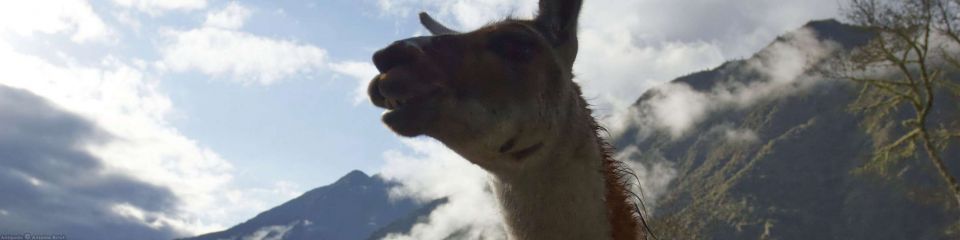 Inca Trail | MachuPicchu
