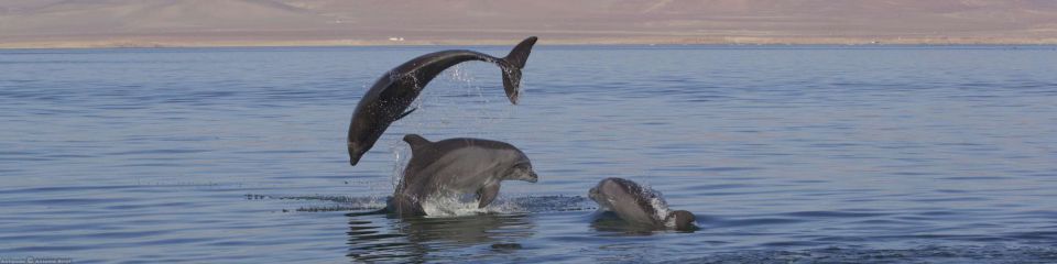 Ballestas Islands